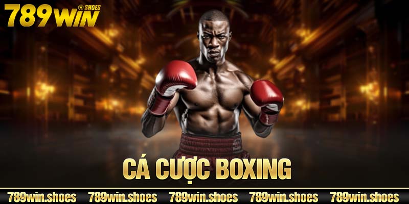 Cá Cược Boxing: Hòa Cùng Thế Giới Kèo Cược Môn Quyền Anh